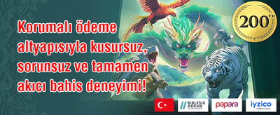 Popüler Slotlarda Ücretsiz Spin promotion